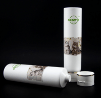 Eco Friendly Empty Custom Plastic Tube Tooth Paste Packaging